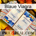 Blaue Viagra kamagra1